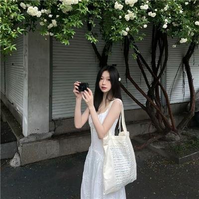 九辫妖狐